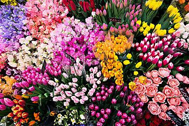 《龙珠：超宇宙2》DLC角色卡莉芙拉预告片公布