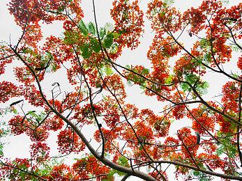 《星际公民》Alpha 4.1版详细介绍 全新预告发布